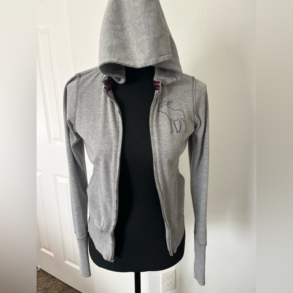 Abercrombie & Fitch Gray / burgundy Hooded Jacket